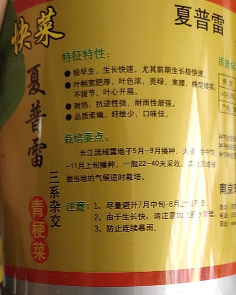 快菜夏普雷种子，青梗快菜，生长快速耐热抗逆性强，