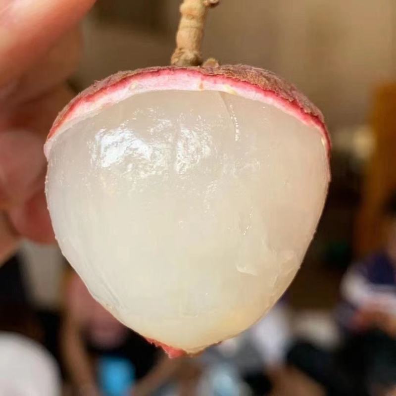 福建黑美人荔枝当季精选大果品质保证，支持各平台一件代
