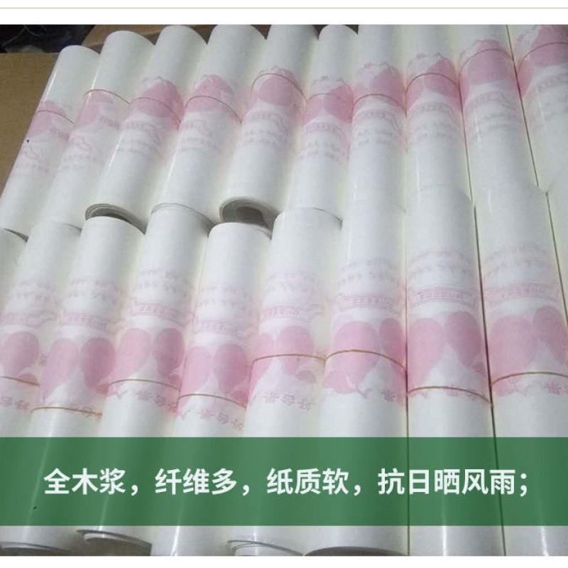 好台果柑橘套袋柑橘专用袋橘子套袋橙子套袋丑橘袋春见爱媛特