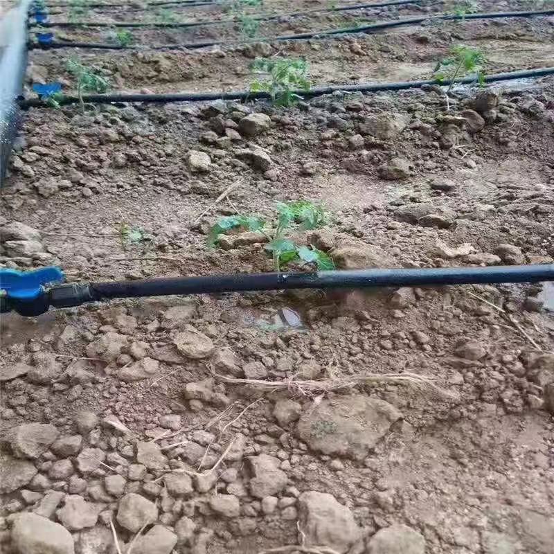 16旁通阀厂家直销软带硬管一字款滴灌阀门