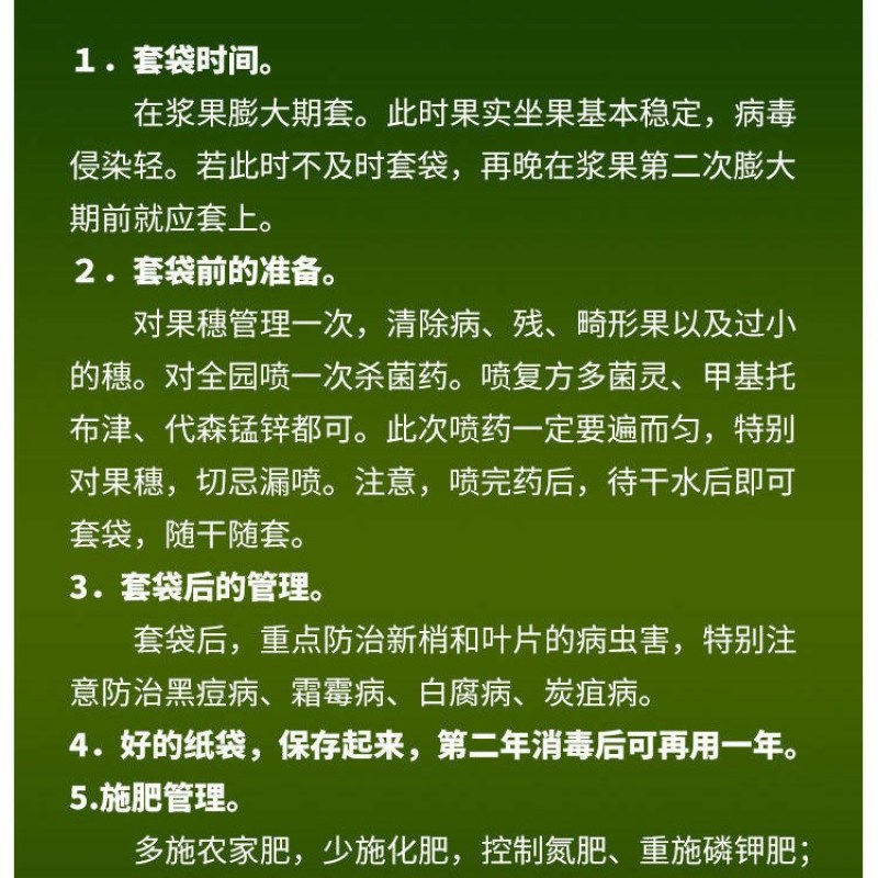 好台果柑橘套袋柑橘专用袋橘子套袋橙子套袋丑橘袋春见爱媛特