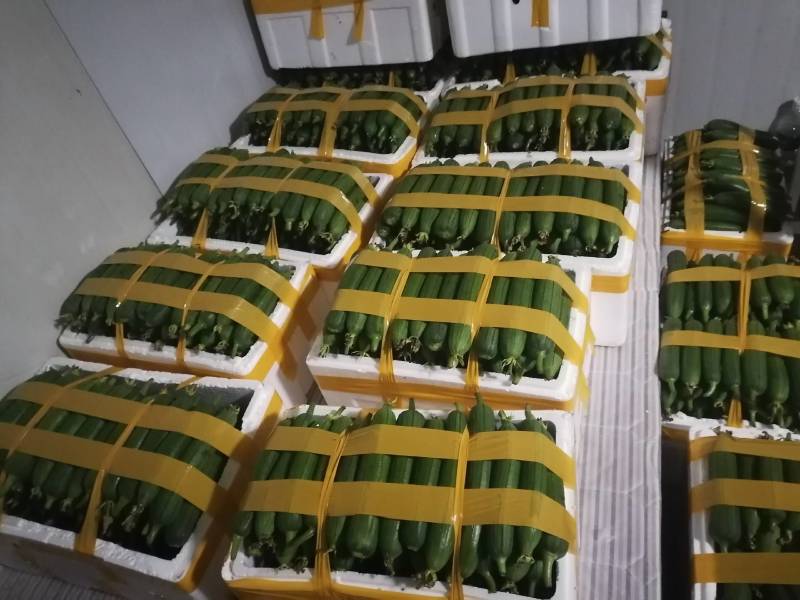 大量供应自种自採本地香丝欢迎咨询洽谈合作