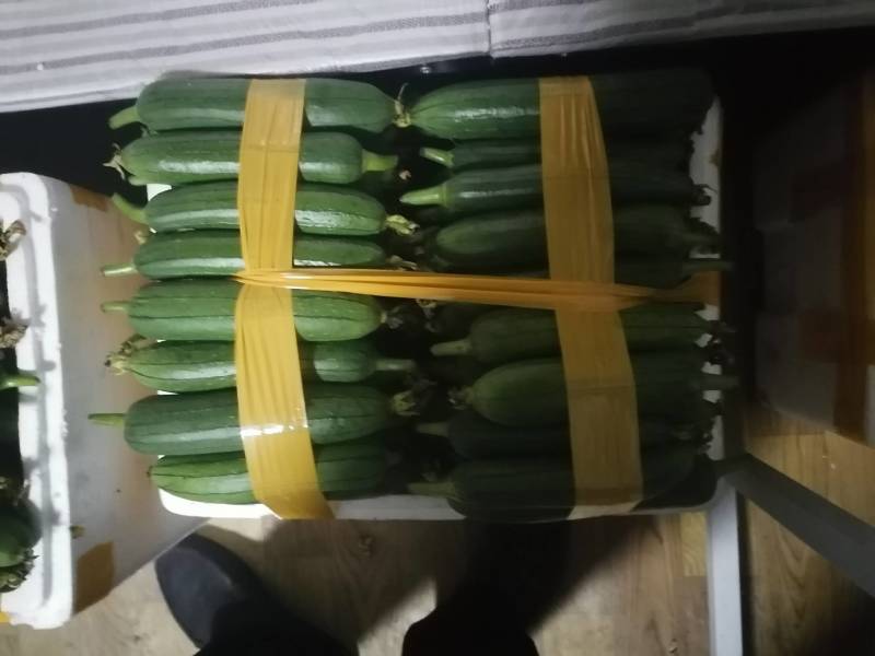 大量供应自种自採本地香丝欢迎咨询洽谈合作