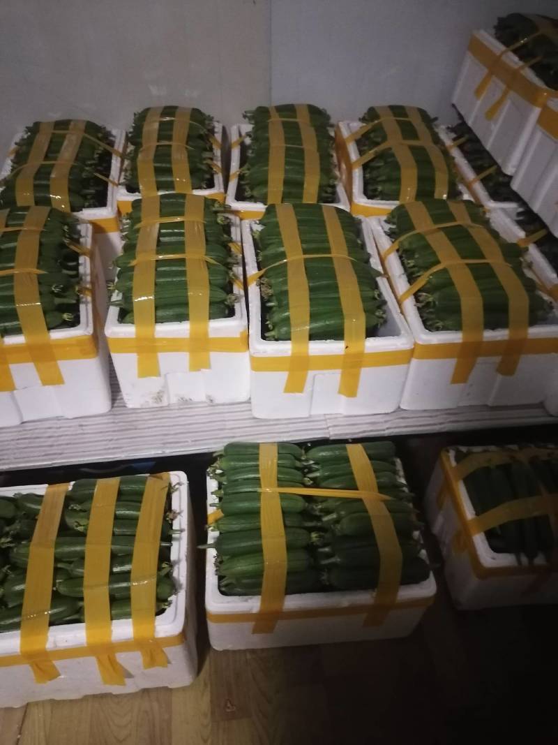 大量供应自种自採本地香丝欢迎咨询洽谈合作