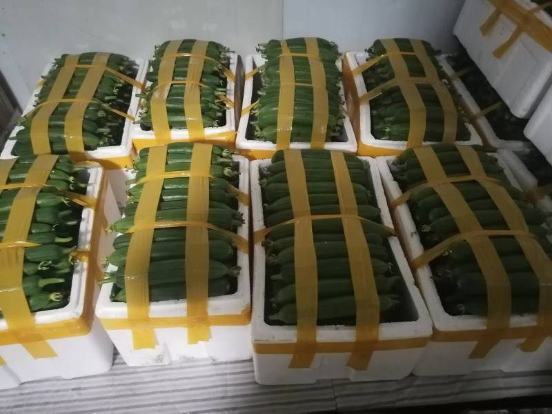 大量供应自种自採本地香丝欢迎咨询洽谈合作
