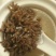 新鲜龙爪菇