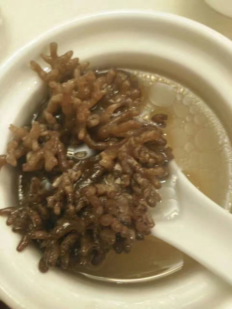 新鲜龙爪菇