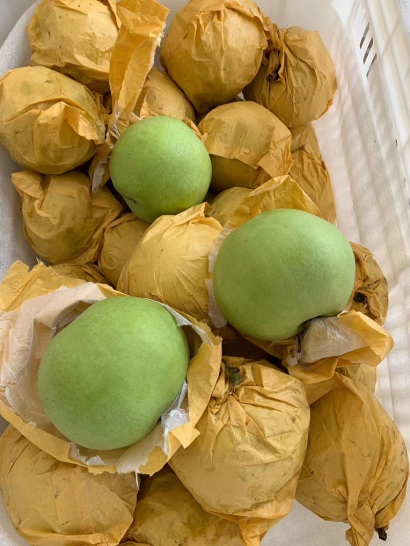 绿宝石梨，青皮梨，翠玉梨一件代发专业供应链