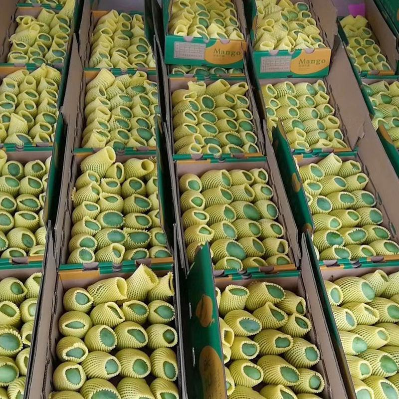 广西百色芒果大金煌十斤装带箱包邮现摘现发