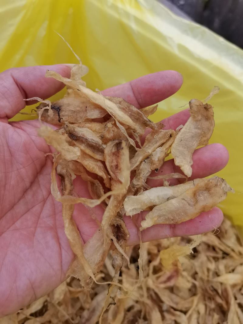 大黄鱼鱼胶