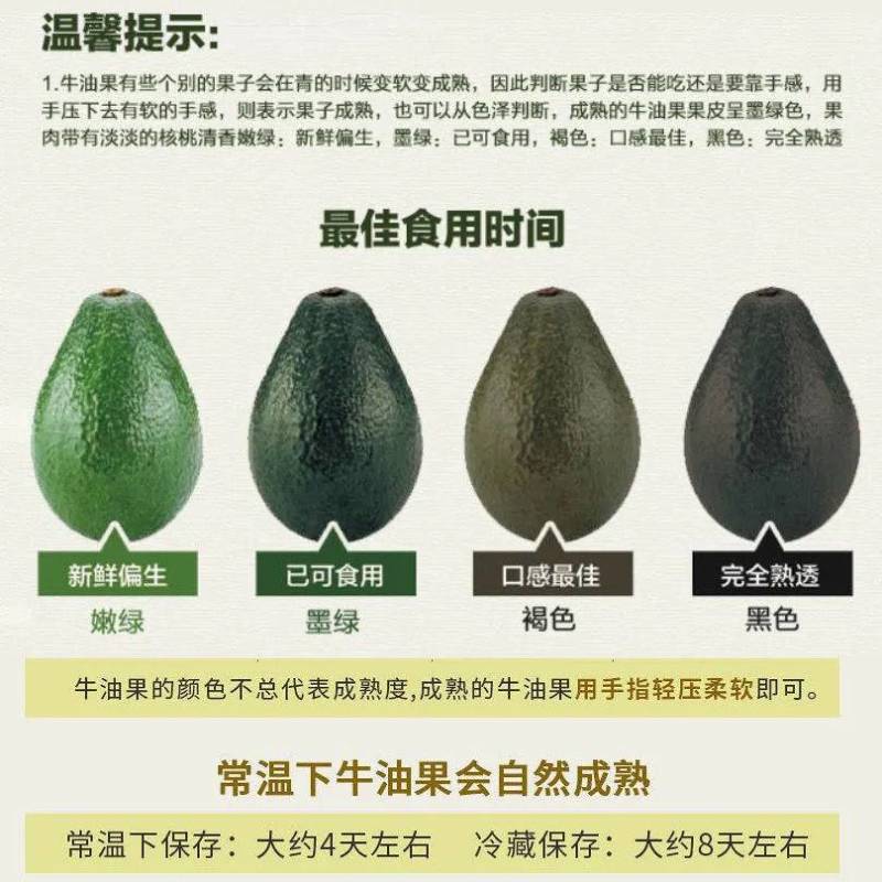 【推荐】牛油果一件代发，上海团长供货，辉展档口直发