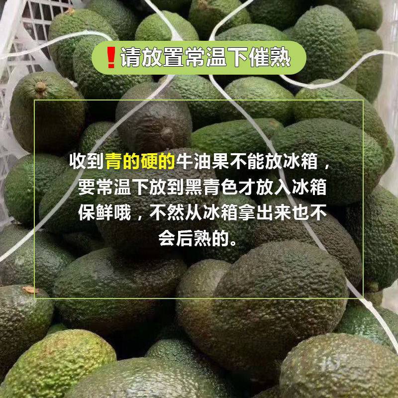 【推荐】牛油果一件代发，上海团长供货，辉展档口直发
