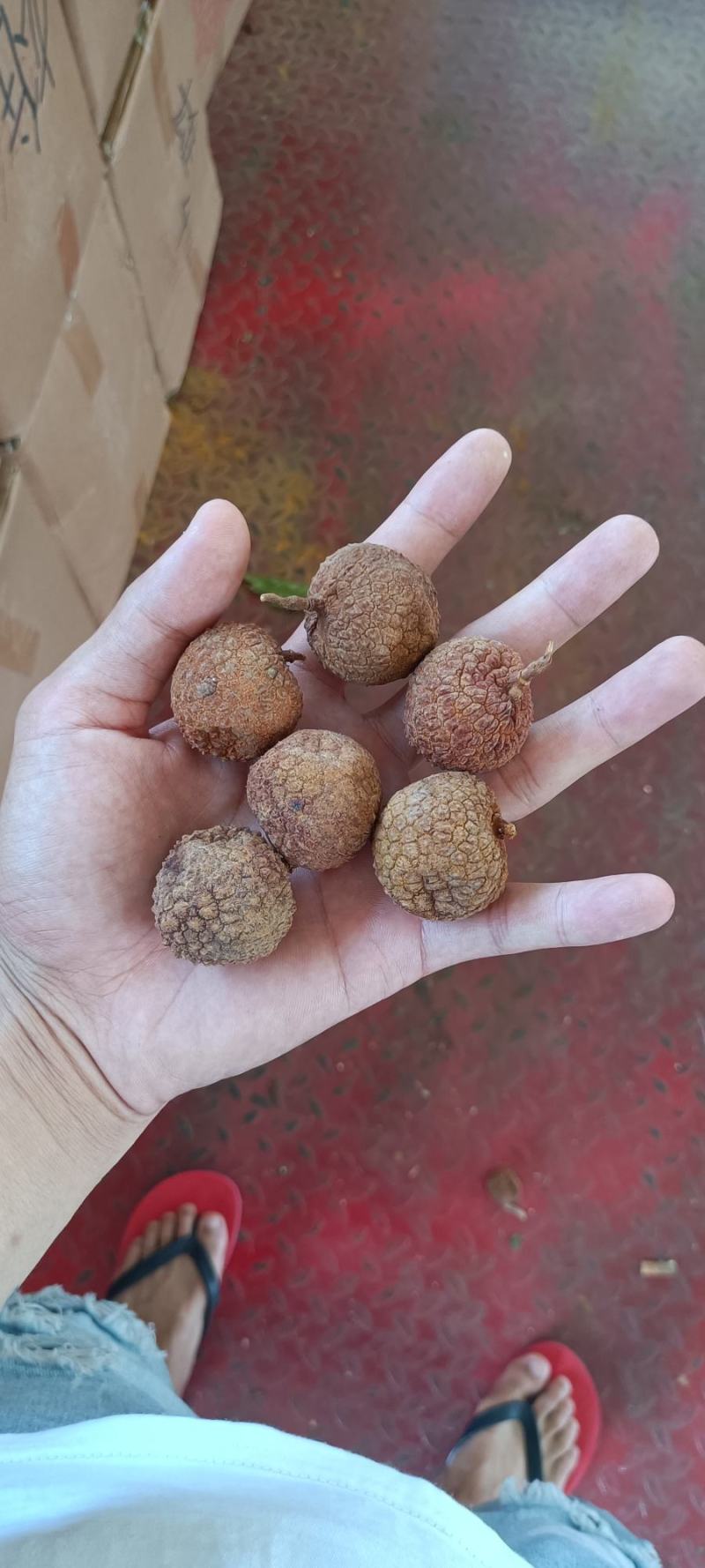 越南荔枝干
