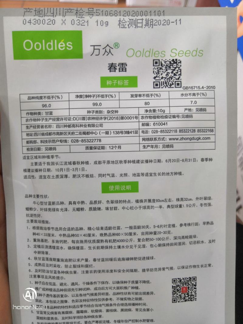 万众春雷，牛心包甘蓝种子，四川种都种业生产