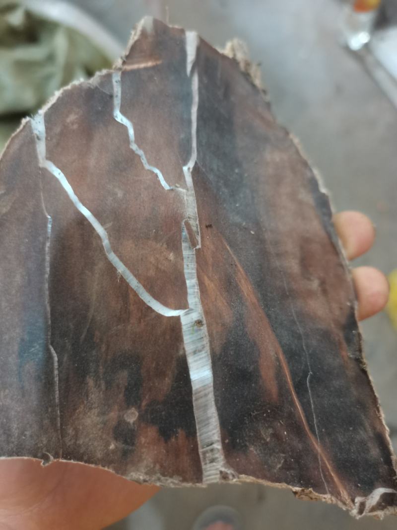 贵州中药材贵州三宝杜仲皮厚杜仲薄杜仲贵州杜仲皮