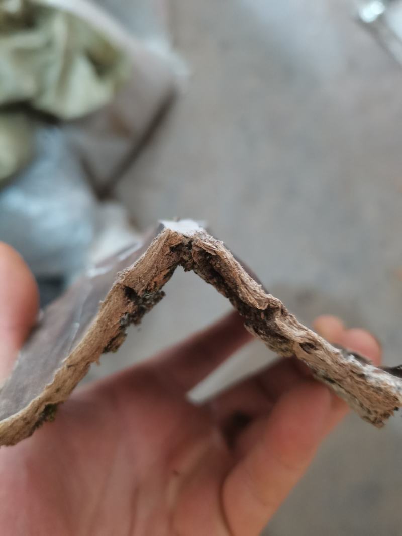 贵州中药材贵州三宝杜仲皮厚杜仲薄杜仲贵州杜仲皮