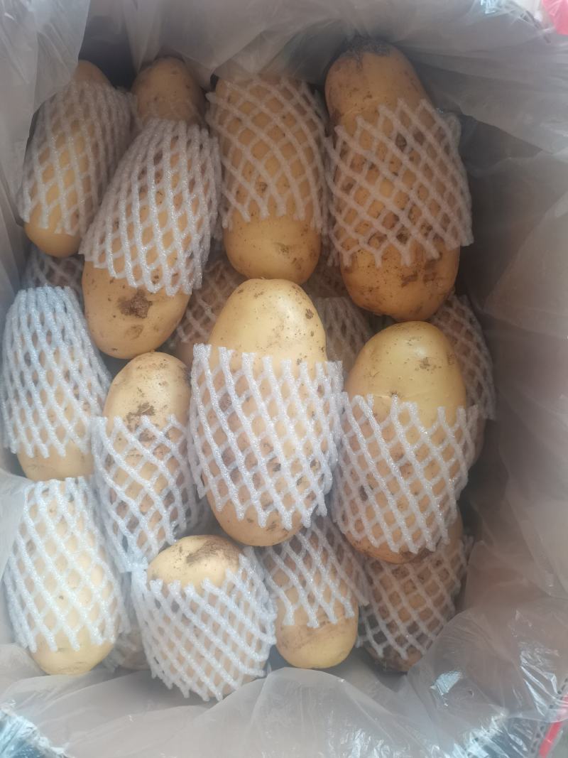 精品滕州箱装土豆精挑细选三两通天货，冷库土豆开始出库中