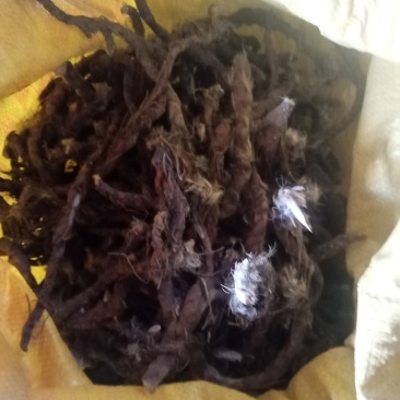 大别山野生石，菖蒲