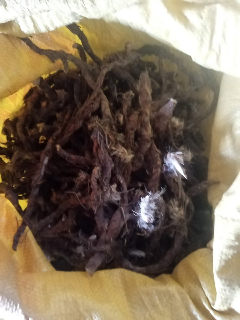 大别山野生石，菖蒲