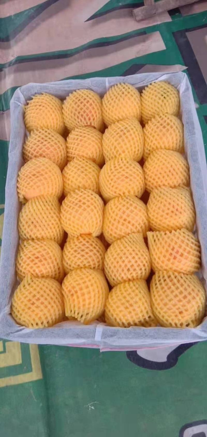 千亩黄桃！黄金蜜