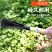 家用拔草挖草野菜神器松土起根器移苗起苗器铲子手动除草园艺