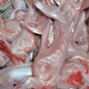 兔肉