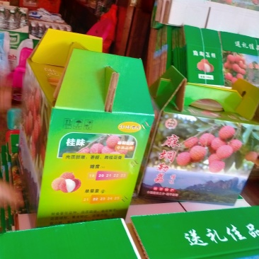 麻垌荔枝开始大量上市