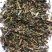 白屈莱干货白屈菜又称断肠草常年经营各种中药材