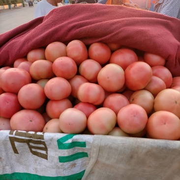 西红柿，发，江苏，山西，陕西，河北，上海