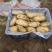 806荷兰希森vV7