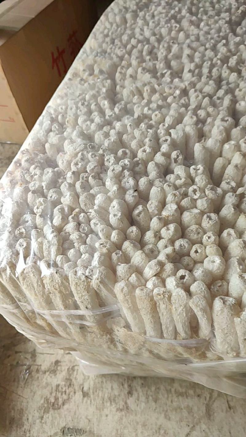 [竹荪]新货优质竹荪杆长裙竹荪竹笙批发定制各种规格