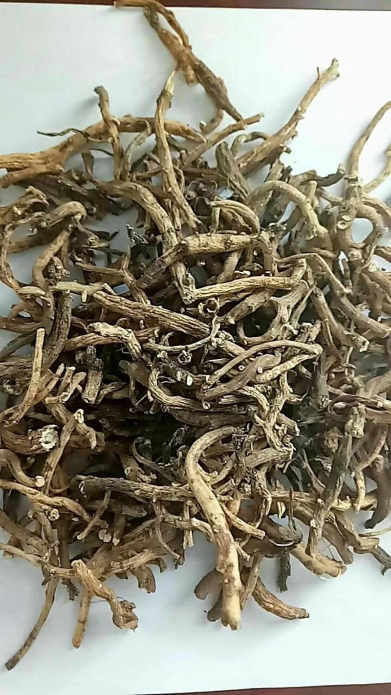 倒提壶冷背中药材量大从优欢迎选购！