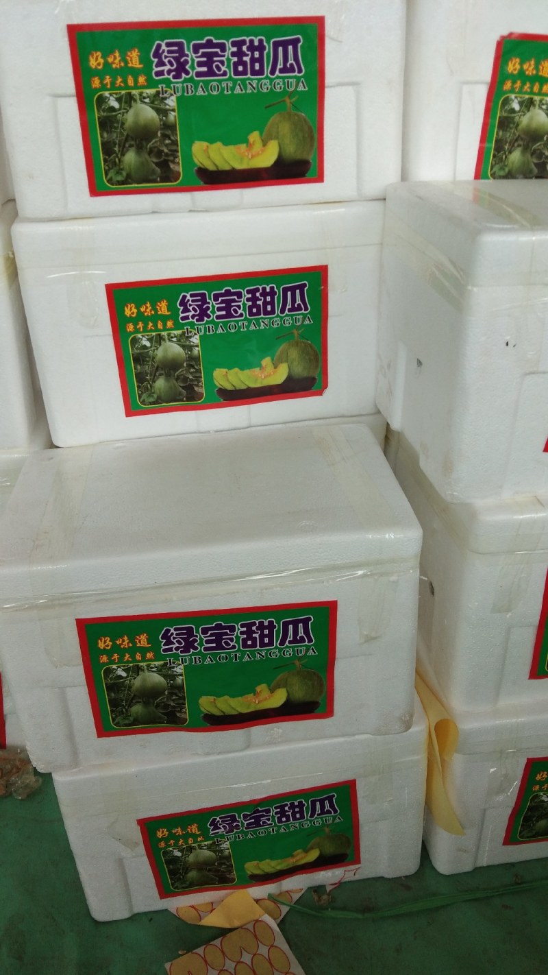 山东绿宝甜瓜大量上市新鲜采摘口感好欢迎咨询选购