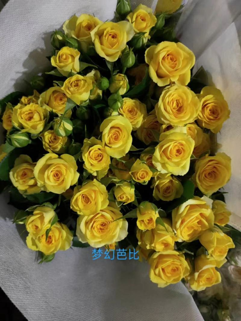 包邮优质多头玫瑰ABC级10支+高端顺丰空运/挑颜色备注