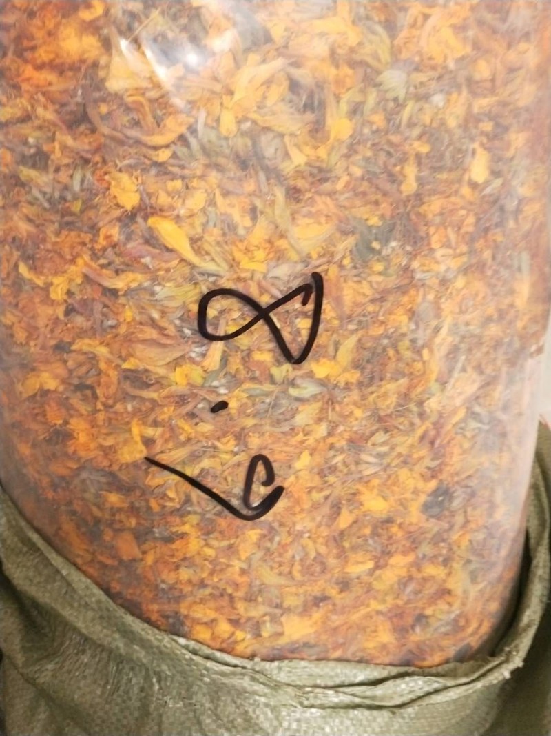杜鹃