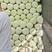 内蒙赤峰产地精品黄心白菜，4～6斤，大量供货，产地大量供
