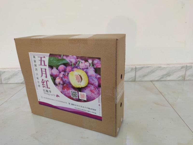 脆红李中小果批发