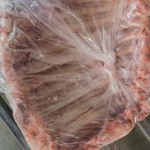 内蒙古-牛副产品-牛排骨质量好欢迎咨询采购