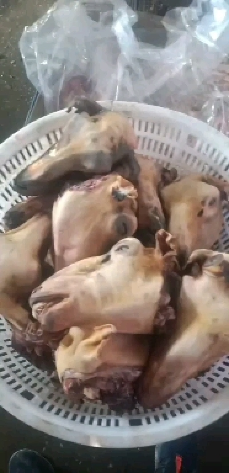 锡林浩特市大草原羊头，，质量保证，放心够买