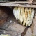 云南低热河谷自然保护区纯野生蜂蜜