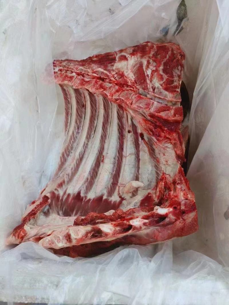 深山放养山猪肉土猪肉批发生鲜店饭店酒楼土特产
