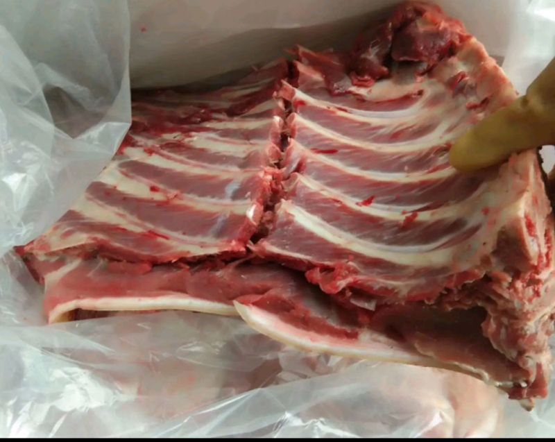 深山放养山猪肉土猪肉批发生鲜店饭店酒楼土特产