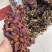 灵芝王小红灵芝*靓现货供应一手货源