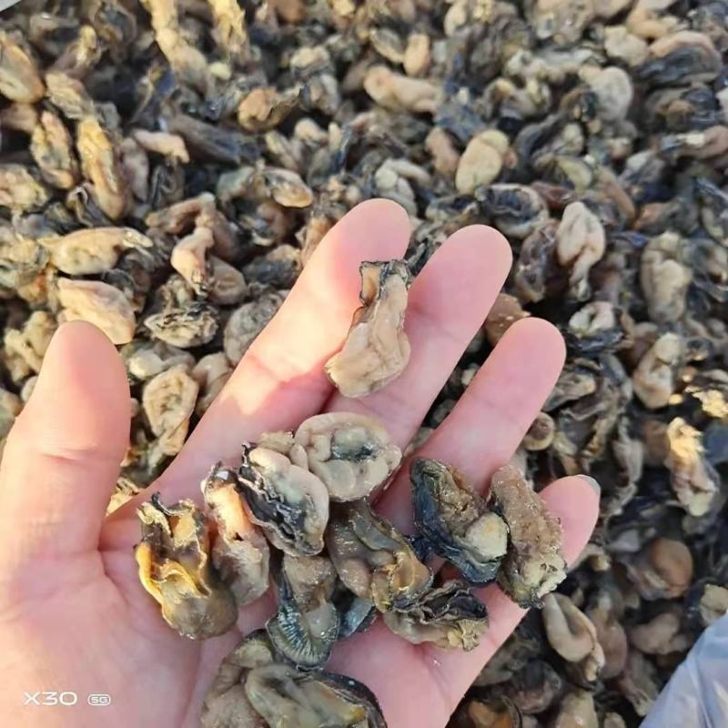 牡蛎干十足干，无沙质量超级好！1箱30斤！一手货源不包邮