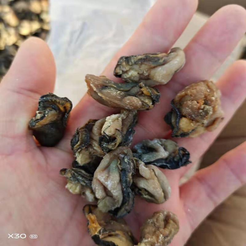 牡蛎干十足干，无沙质量超级好！1箱30斤！一手货源不包邮