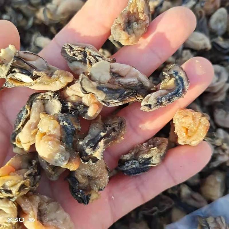 牡蛎干十足干，无沙质量超级好！1箱30斤！一手货源不包邮