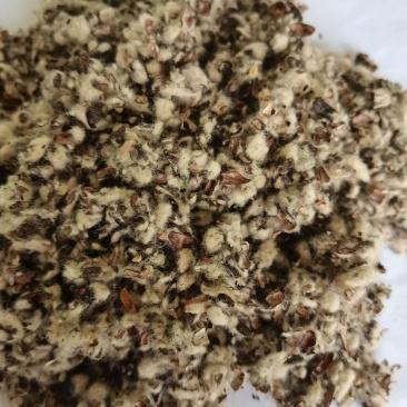 厂家直销种植棉子壳，优质棉子売，客户放心购买