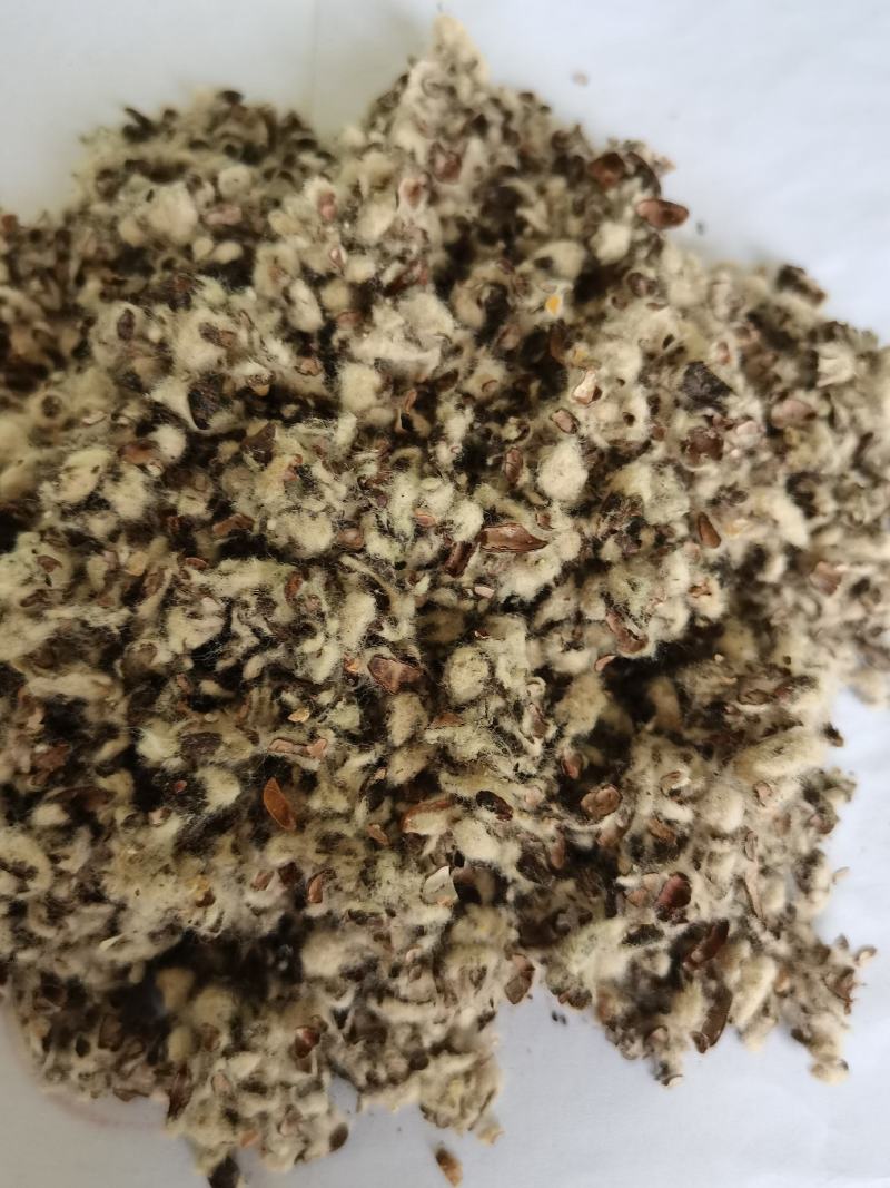 厂家直销种植棉子壳，优质棉子売，客户放心购买