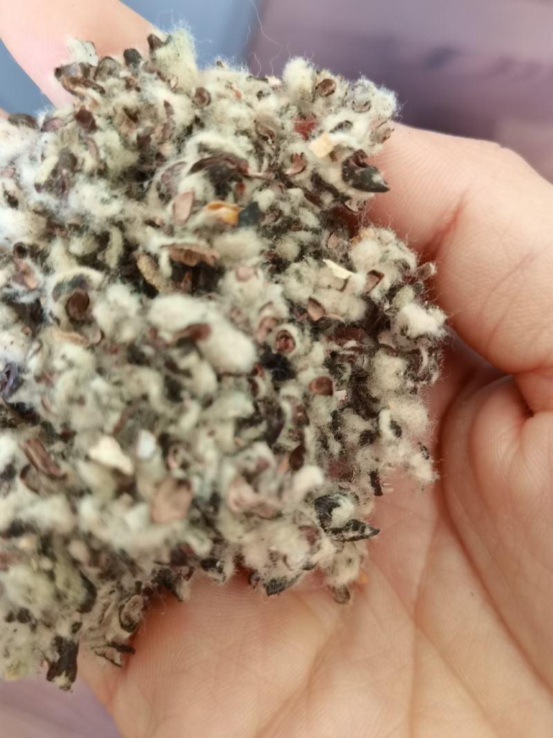厂家直销种植棉子壳，优质棉子売，客户放心购买