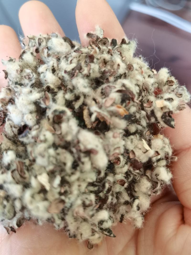 厂家直销种植棉子壳，优质棉子売，客户放心购买